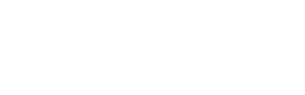 P3 Logo White
