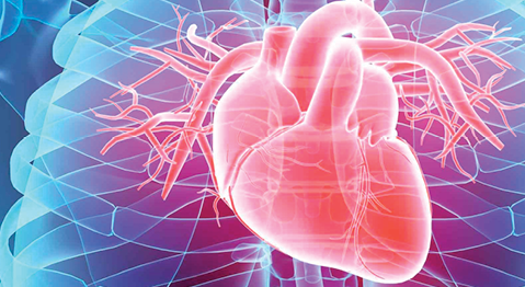 Patient Education Resource on Cardiovascular Disease
